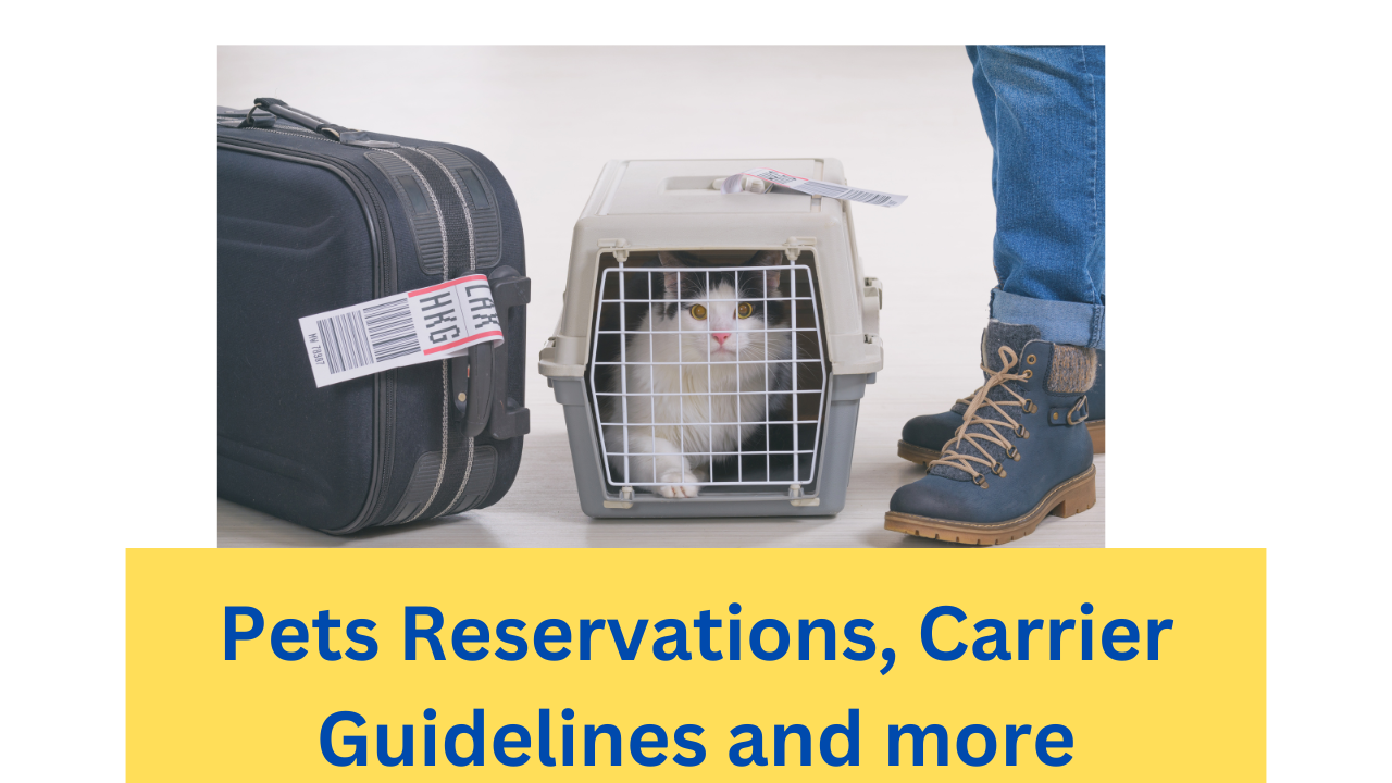 A complete guide to Silver Airways Pet Policy.