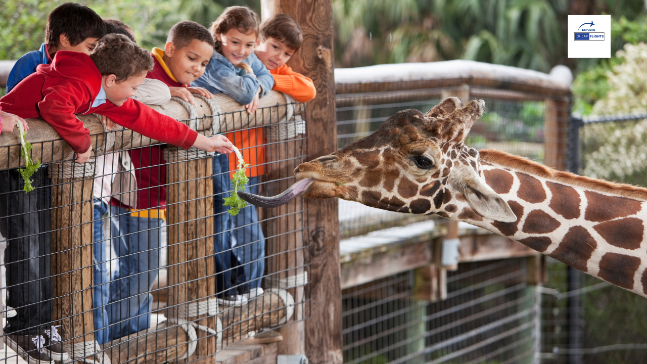 The 5 Best Zoos in the United States .