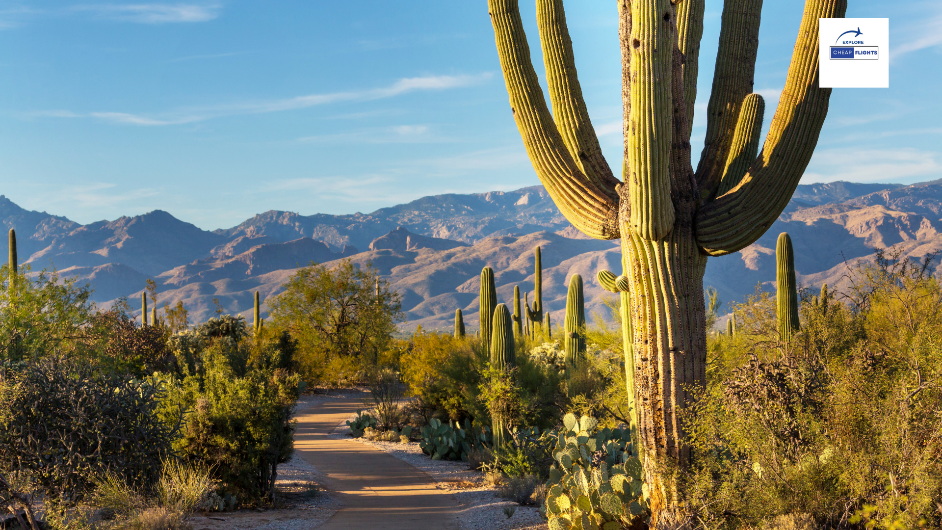 8 Best Things To Do in Tucson in 2024.