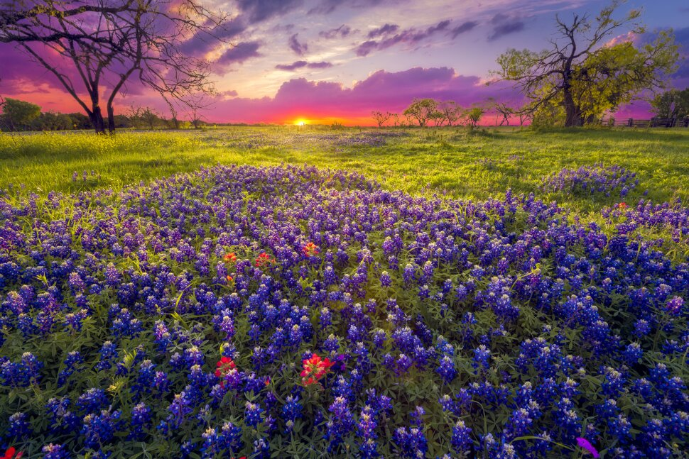 10 Most Romantic Getaways in Texas